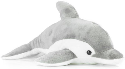Dorian The Dolphin