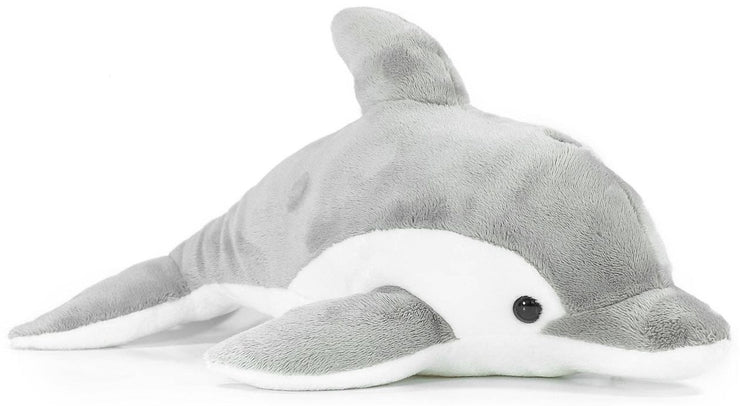 Dorian The Dolphin