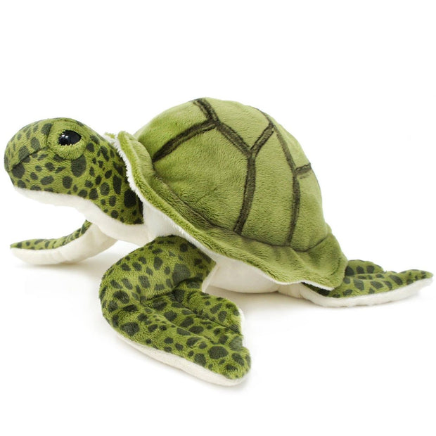 Turquoise the Green Sea Turtle
